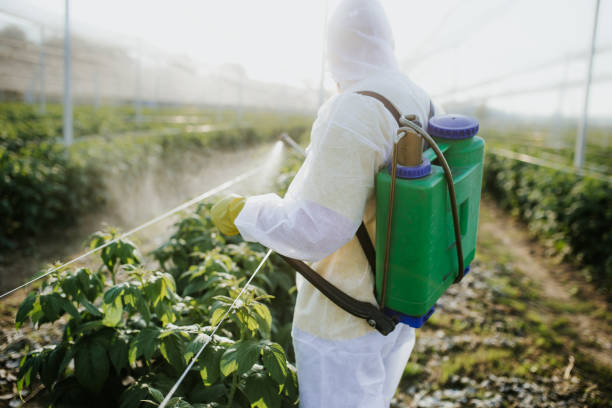 Best Best Pest Control Companies  in Cannon Falls, MN